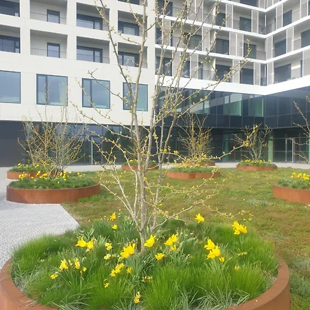 Apartment Modern On The Banks Of The Danube