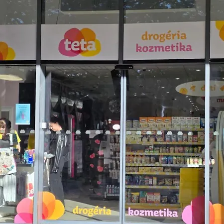 Modern On The Banks Of The Danube * Pozsony